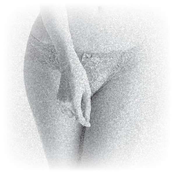 시디